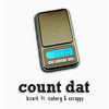 Thumbnail for the Bizerk - Count Dat link, provided by host site
