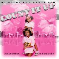 Thumbnail for the DJ Suede the Remix God - Count It Up (Quarter, Nickel, Dime) link, provided by host site