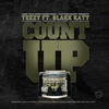 Thumbnail for the Teezy - Count Up link, provided by host site