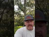 Thumbnail for the Whosoever South - Count your blessings instead of troubles link, provided by host site