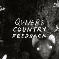 Thumbnail for the Quivers - Country Feedback link, provided by host site