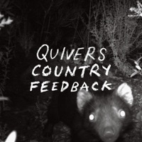 Thumbnail for the Quivers - Country Feedback link, provided by host site