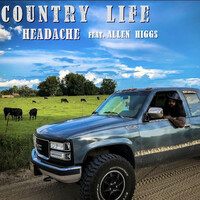 Thumbnail for the Headache - Country Life link, provided by host site