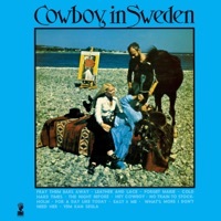Thumbnail for the Lee Hazlewood - Cowboy in Sweden (Original Motion Picture Soundtrack) link, provided by host site