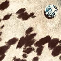 Image of Holy Wave linking to their artist page due to link from them being at the top of the main table on this page