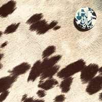 Thumbnail for the Holy Wave - Cowprint link, provided by host site