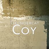 Thumbnail for the Thundercat - Coy link, provided by host site