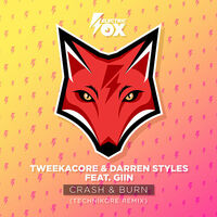 Thumbnail for the Tweekacore - Crash & Burn (Technikore Remix) link, provided by host site