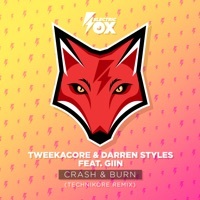 Thumbnail for the Tweekacore - Crash & Burn (Technikore Remix) link, provided by host site