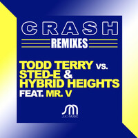 Thumbnail for the Todd Terry - Crash (Todd Terry vs. Sted-E & Hybrid Heights vs. Mr. V) link, provided by host site