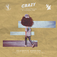 Thumbnail for the Lost Frequencies - Crazy (Acoustic Version) link, provided by host site