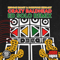 Thumbnail for the Ed Solo - Crazy Baldhead (Ed Solo Remix) link, provided by host site