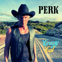 Thumbnail for the Perk - Crazy Cat link, provided by host site