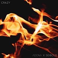 Thumbnail for the ADONA - Crazy link, provided by host site