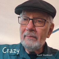 Thumbnail for the David Sturdevant - Crazy link, provided by host site