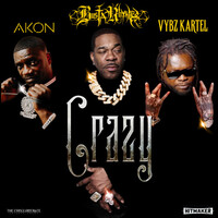 Thumbnail for the Busta Rhymes - Crazy link, provided by host site
