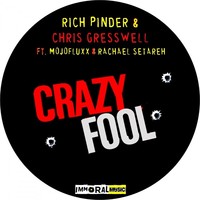 Thumbnail for the Rich Pinder - Crazy Fool - Original Mix link, provided by host site