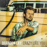 Thumbnail for the Brandon Lay - Crazy Like You link, provided by host site