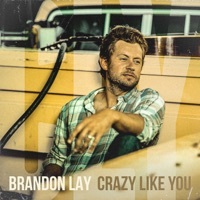Thumbnail for the Brandon Lay - Crazy Like You link, provided by host site