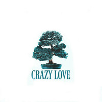 Thumbnail for the C1 - Crazy love link, provided by host site