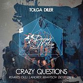 Thumbnail for the Tolga Diler - Crazy Questions link, provided by host site