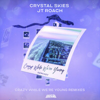 Thumbnail for the Crystal Skies - Crazy While We're Young - Danny Olson Remix link, provided by host site