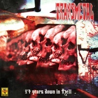 Thumbnail for the Transmetal - Creator of Bitterness link, provided by host site