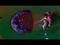 Thumbnail for the Psy - Creature Canyon - 40 Nights link, provided by host site