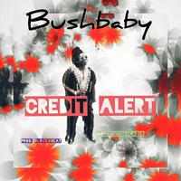 Thumbnail for the Bushbaby - Credit Alert link, provided by host site