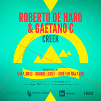 Thumbnail for the Roberto De Haro - Creek link, provided by host site