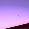 Thumbnail for the Sabe - Creep Is My Middle Name link, provided by host site