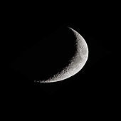 Thumbnail for the Cactus - Crescent Moon link, provided by host site