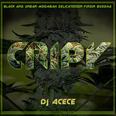 Thumbnail for the Dj Acece - Cripy link, provided by host site