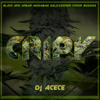 Thumbnail for the Dj Acece - Cripy link, provided by host site