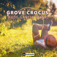 Thumbnail for the Grove - Crocus (Fede Garcia Remix) link, provided by host site