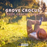 Thumbnail for the Grove - Crocus (Fede Garcia Remix) link, provided by host site