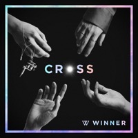 Thumbnail for the WINNER - CROSS link, provided by host site