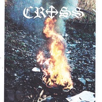 Thumbnail for the Cross - Cross link, provided by host site