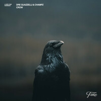 Thumbnail for the Dre Guazzelli - Crow link, provided by host site