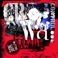 Thumbnail for the MC Zulu - Crowd Control link, provided by host site