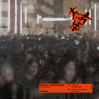 Thumbnail for the Sterac - CROWD001: Raving Wasps link, provided by host site