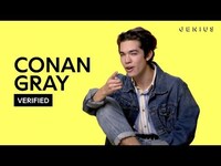 Thumbnail for the Conan Gray - "Crush Culture" Official Lyrics & Meaning | Verified link, provided by host site