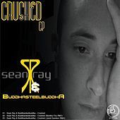 Image of Sean Ray linking to their artist page due to link from them being at the top of the main table on this page