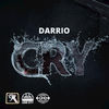 Thumbnail for the Darrio - Cry link, provided by host site