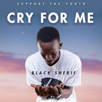 Thumbnail for the Black Sherif - Cry For Me link, provided by host site