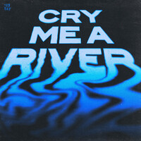Thumbnail for the Steve Aoki - Cry Me A River link, provided by host site