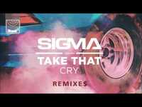 Thumbnail for the Sigma - Cry (Steve Smart Edit) link, provided by host site