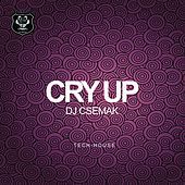 Thumbnail for the DJ Csemak - Cry Up link, provided by host site