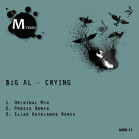 Thumbnail for the Big Al - Crying link, provided by host site