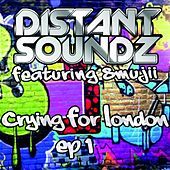 Thumbnail for the Distant Soundz - Crying for London (EP 1) link, provided by host site